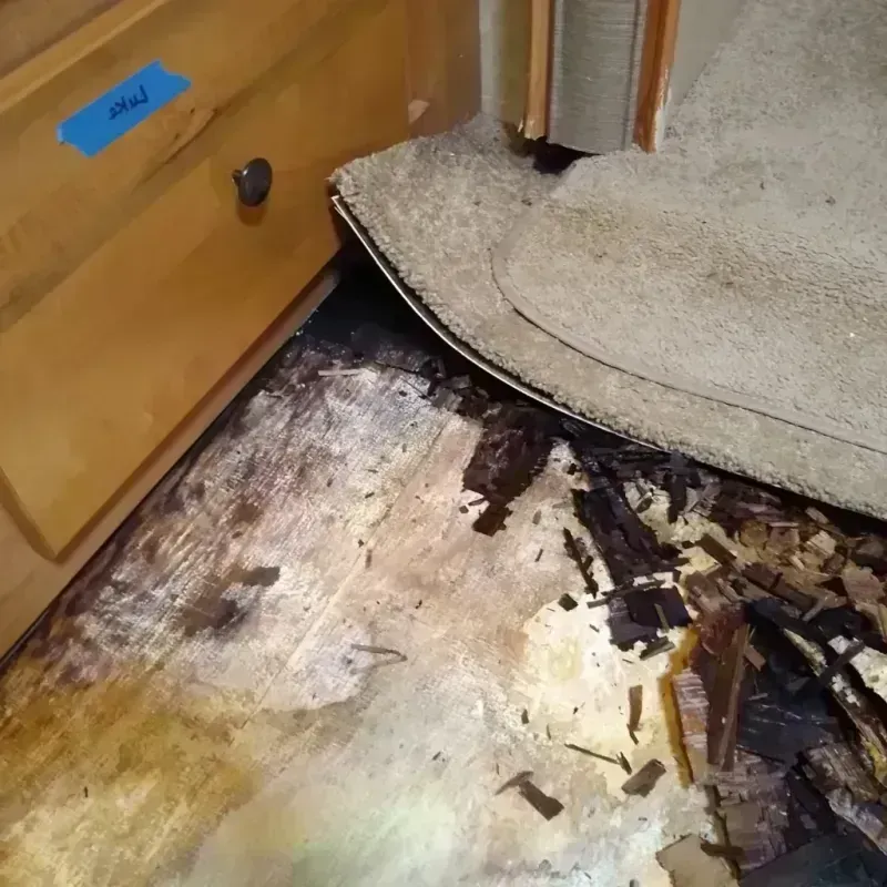 Wood Floor Water Damage in Dayton, NV